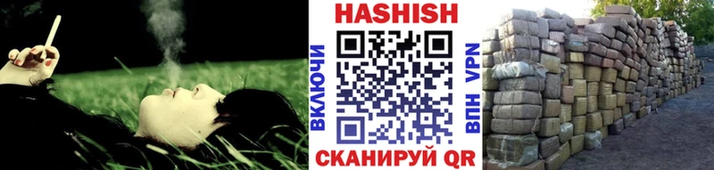 hydra   Сунжа  ГАШ VHQ 