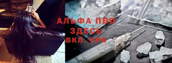 эйфоретик Кукмор