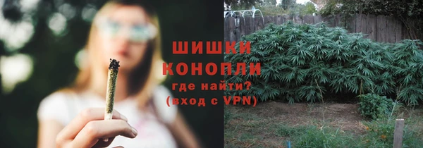 эйфоретик Кукмор