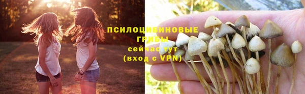 гашишное масло Красноперекопск