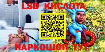 эйфоретик Аргун