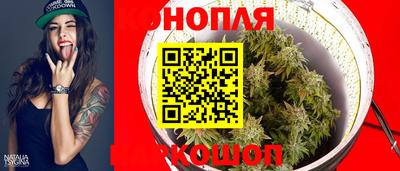 гидра Малгобек