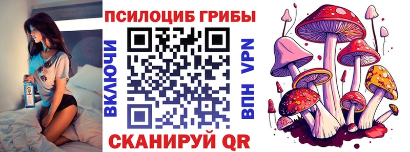 Псилоцибиновые грибы GOLDEN TEACHER  Сунжа 