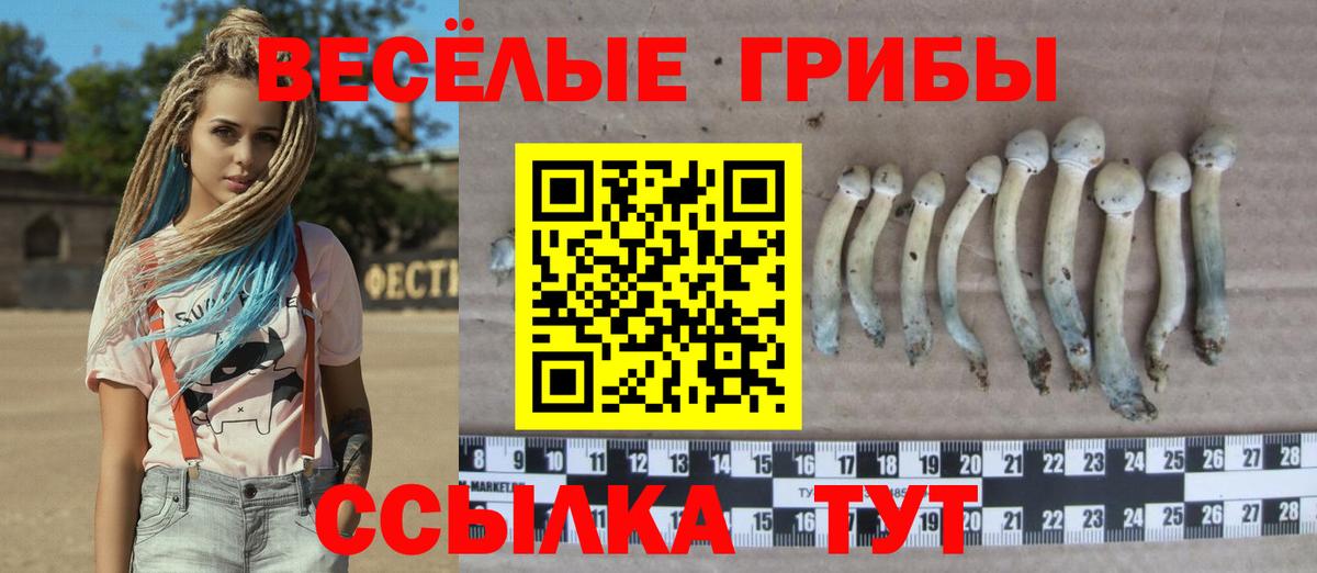 Галлюциногенные грибы MAGIC MUSHROOMS  Галлюциногенные грибы мицелий  Сунжа 