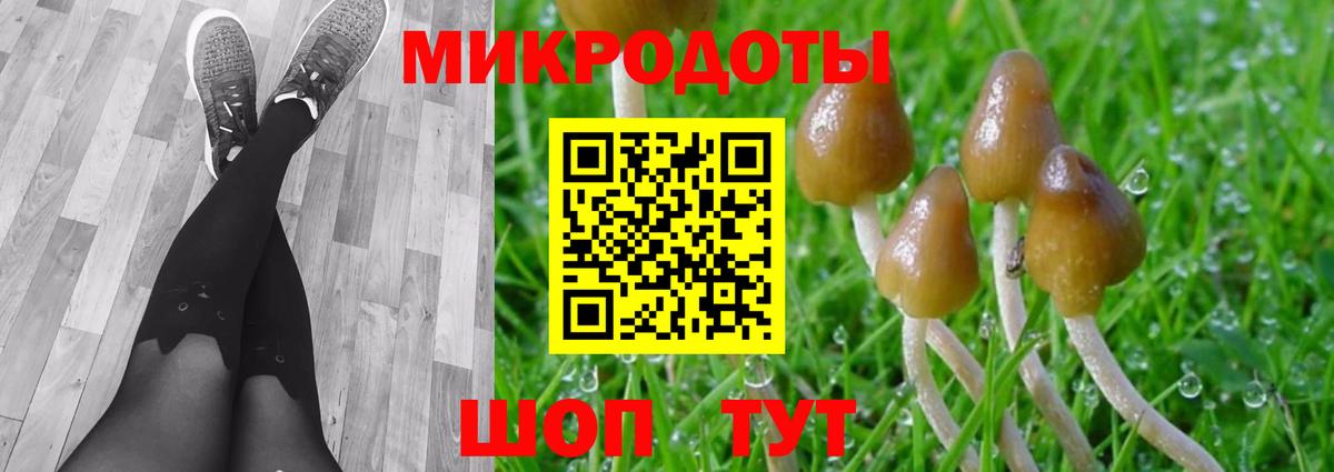 Псилоцибиновые грибы мицелий  Псилоцибиновые грибы Magic Shrooms  Сунжа  Вход с VPN 
