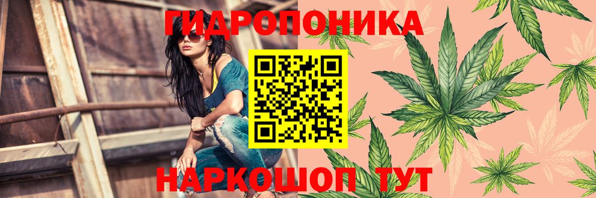 Сунжа  Шишки марихуана Amnesia  Марихуана OG Kush  Канабис Amnesia  Канабис Amnesia  Вход с VPN 